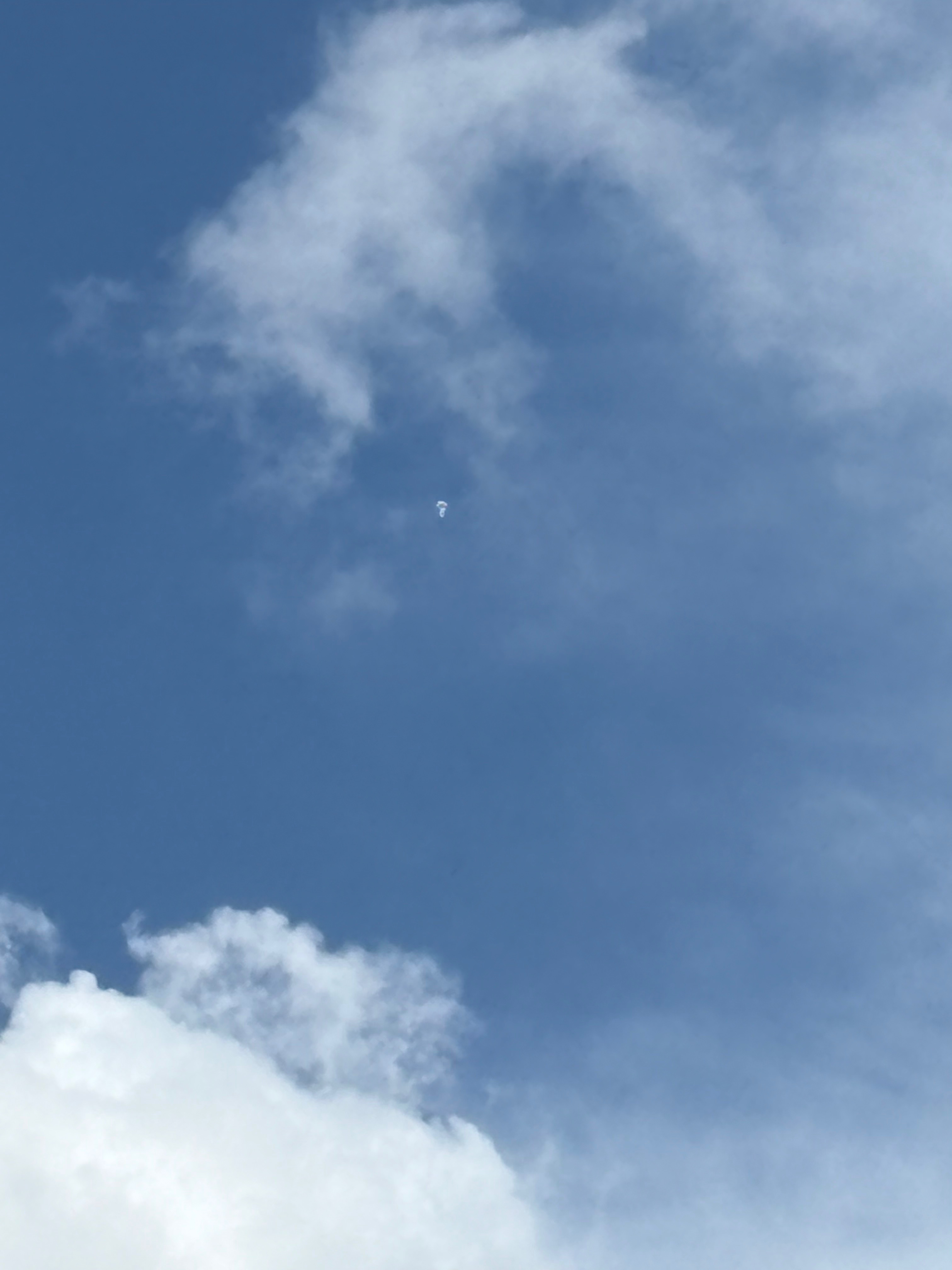 IMG_5466.jpeg