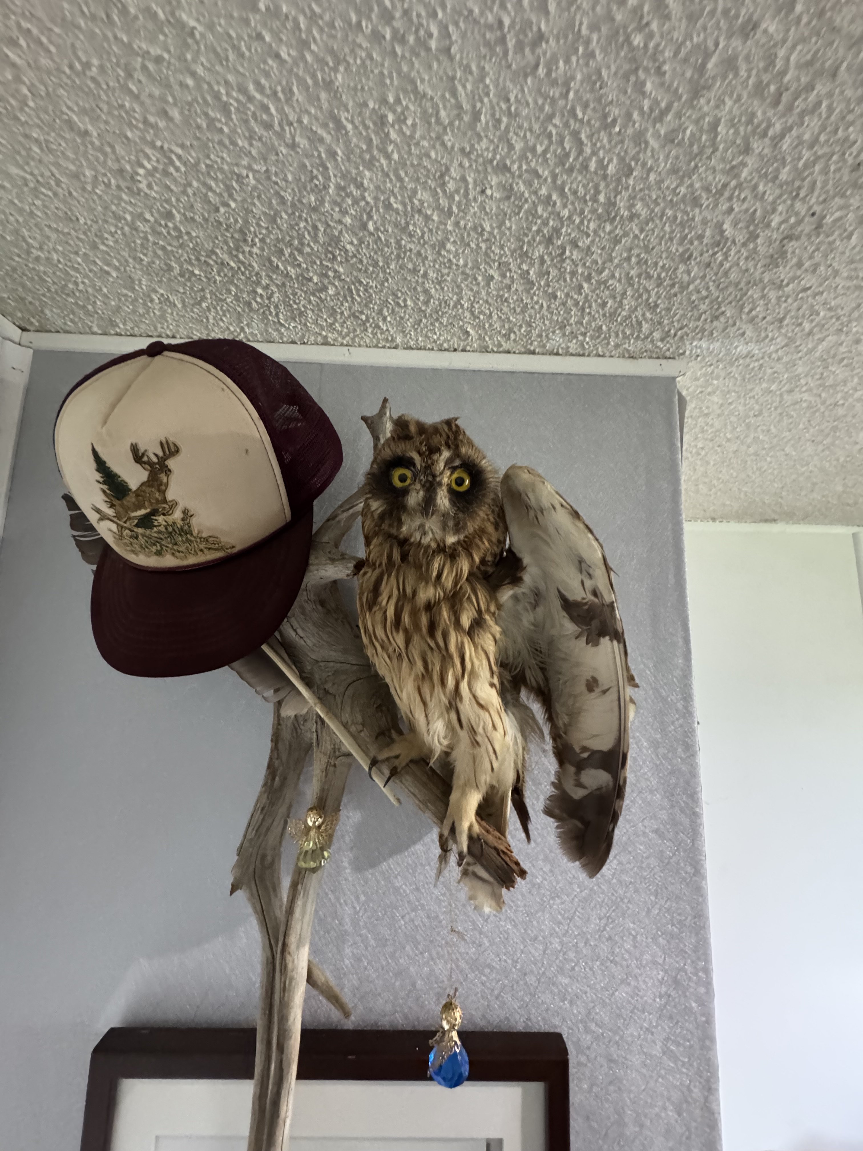IMG_5469.jpeg
