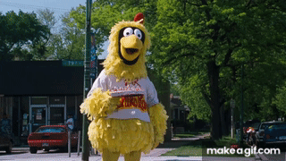 IMG_5501.gif