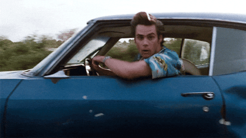 IMG_5583.gif