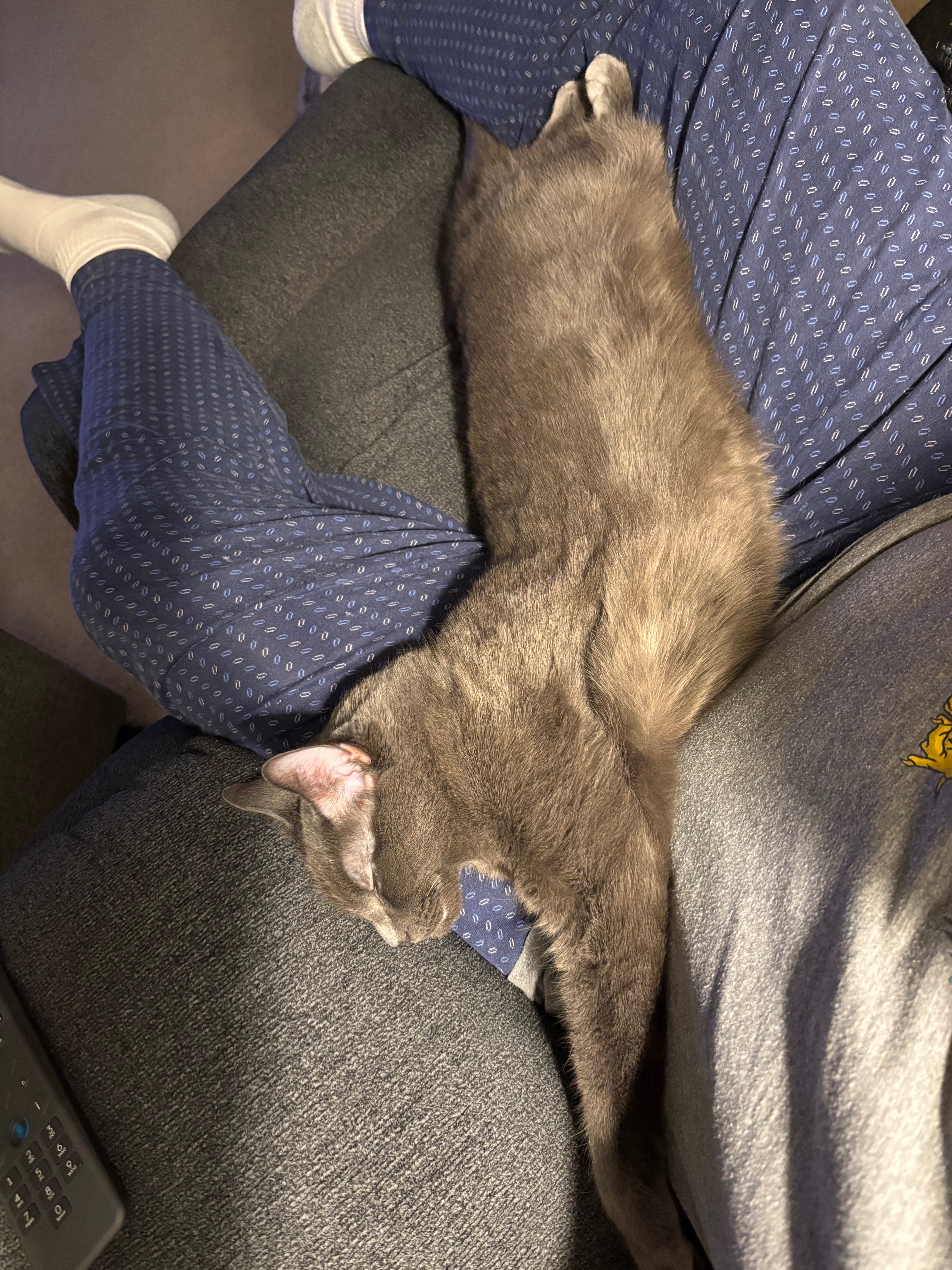 IMG_5612.jpeg