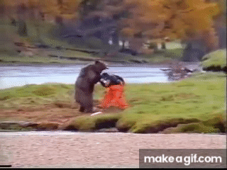 IMG_5661.gif