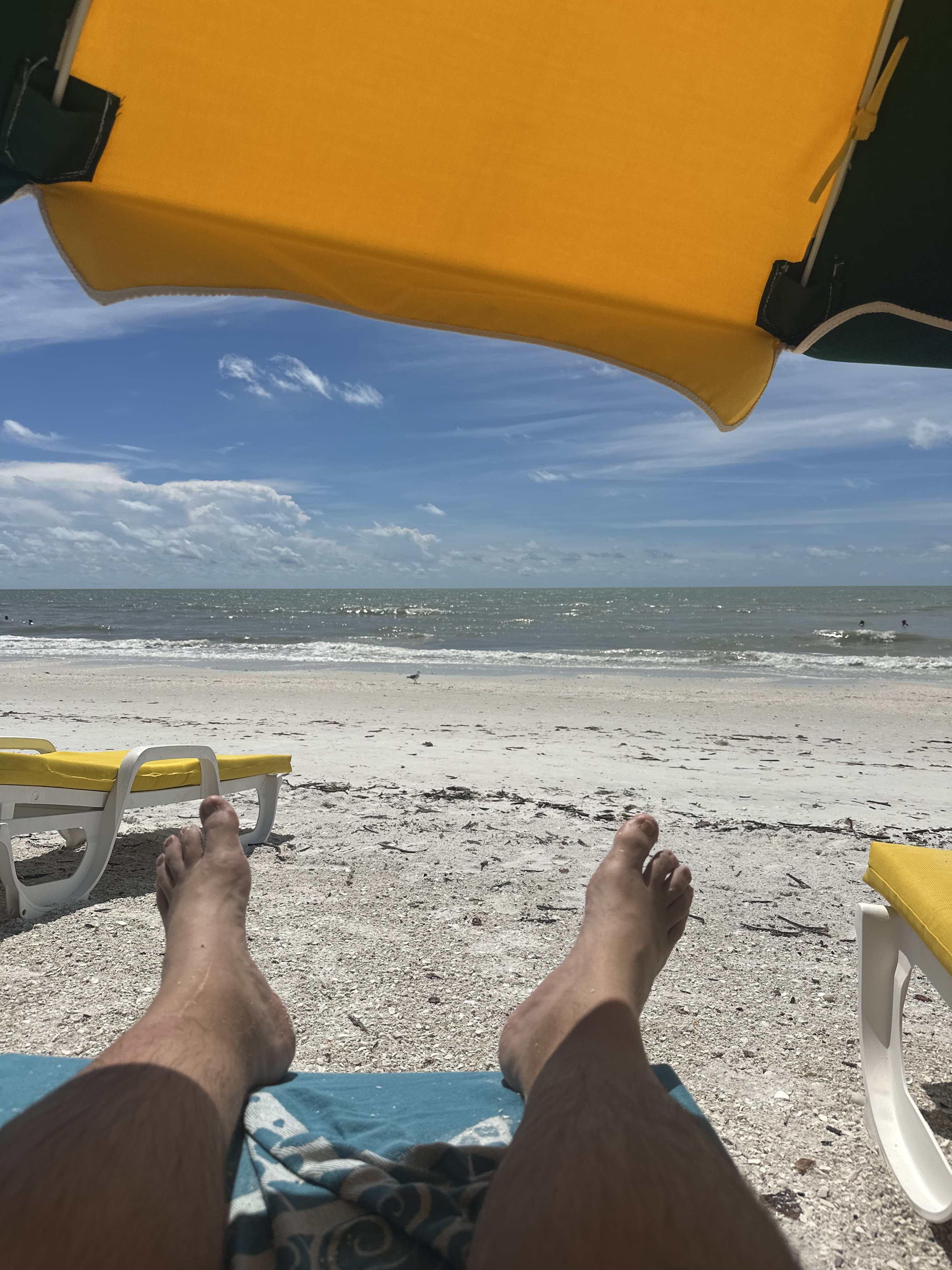 IMG_6032.jpeg