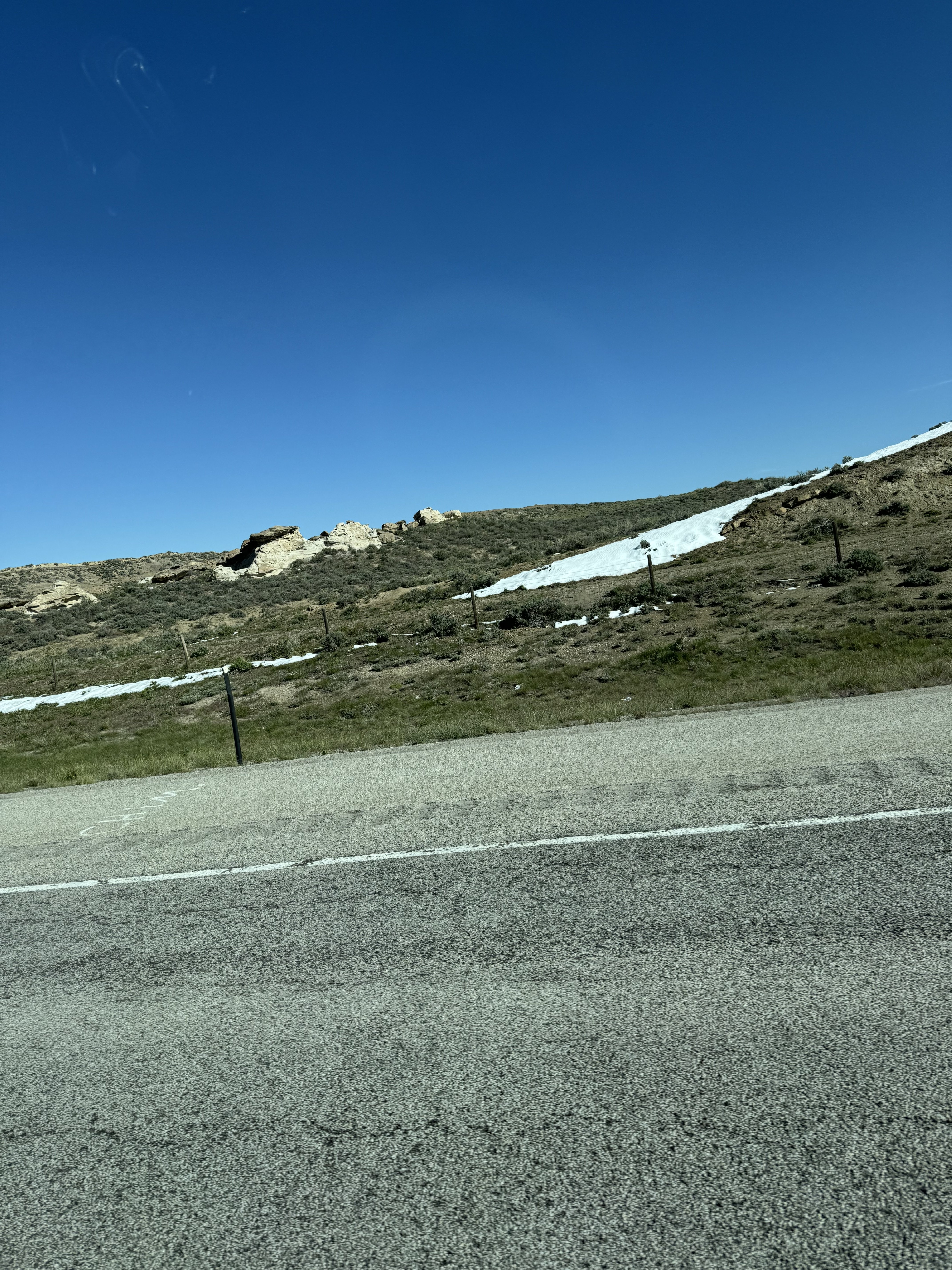 IMG_6358.jpeg