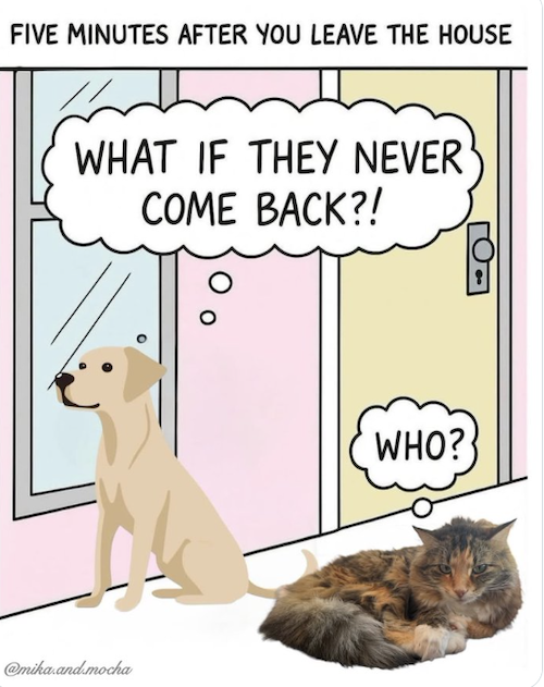 IMG_6832.png