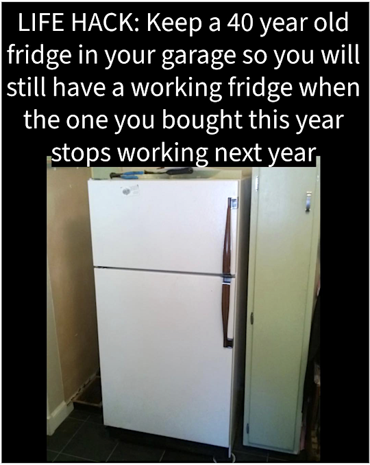 IMG_7462.png