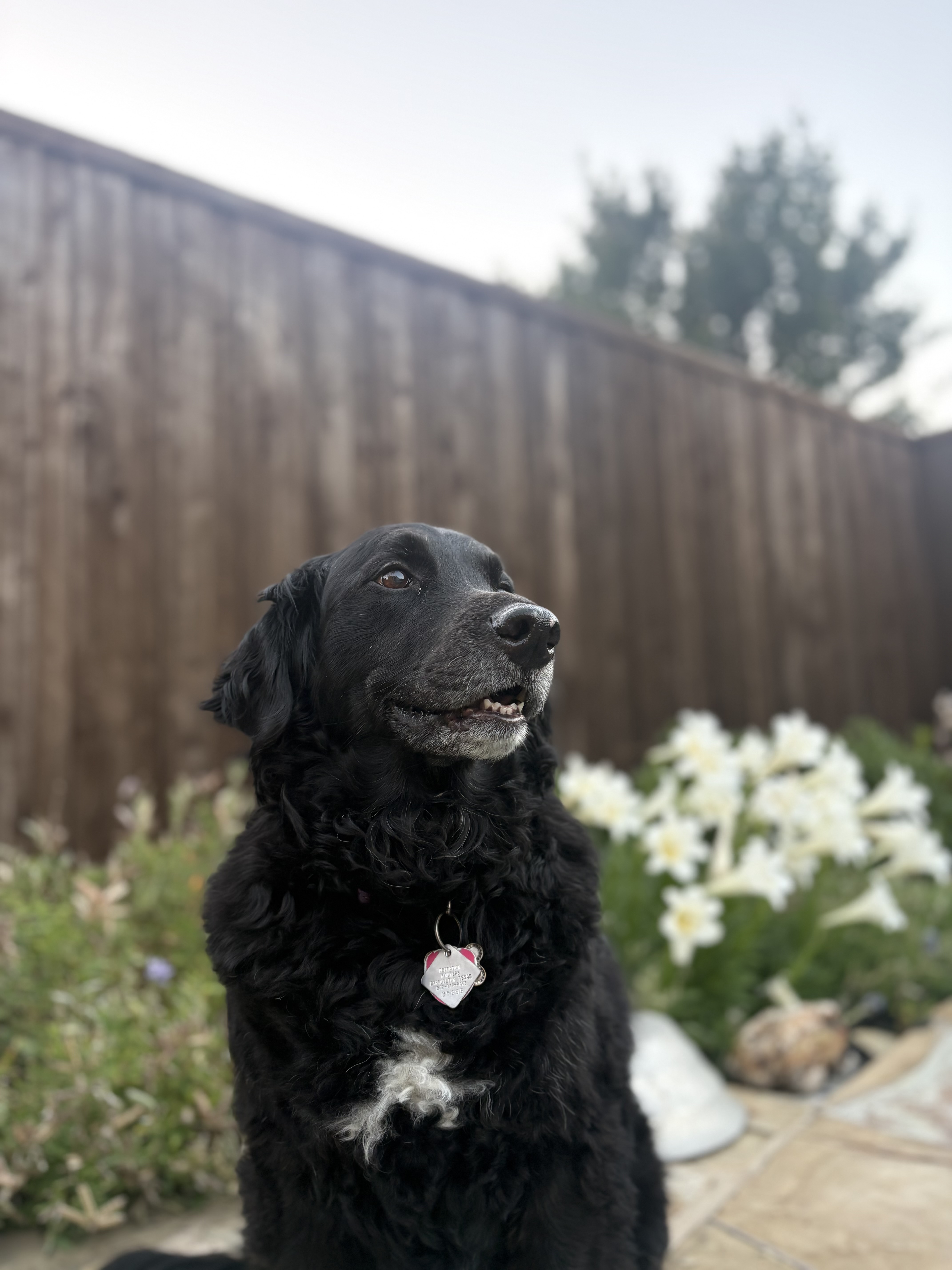 IMG_7616.jpeg