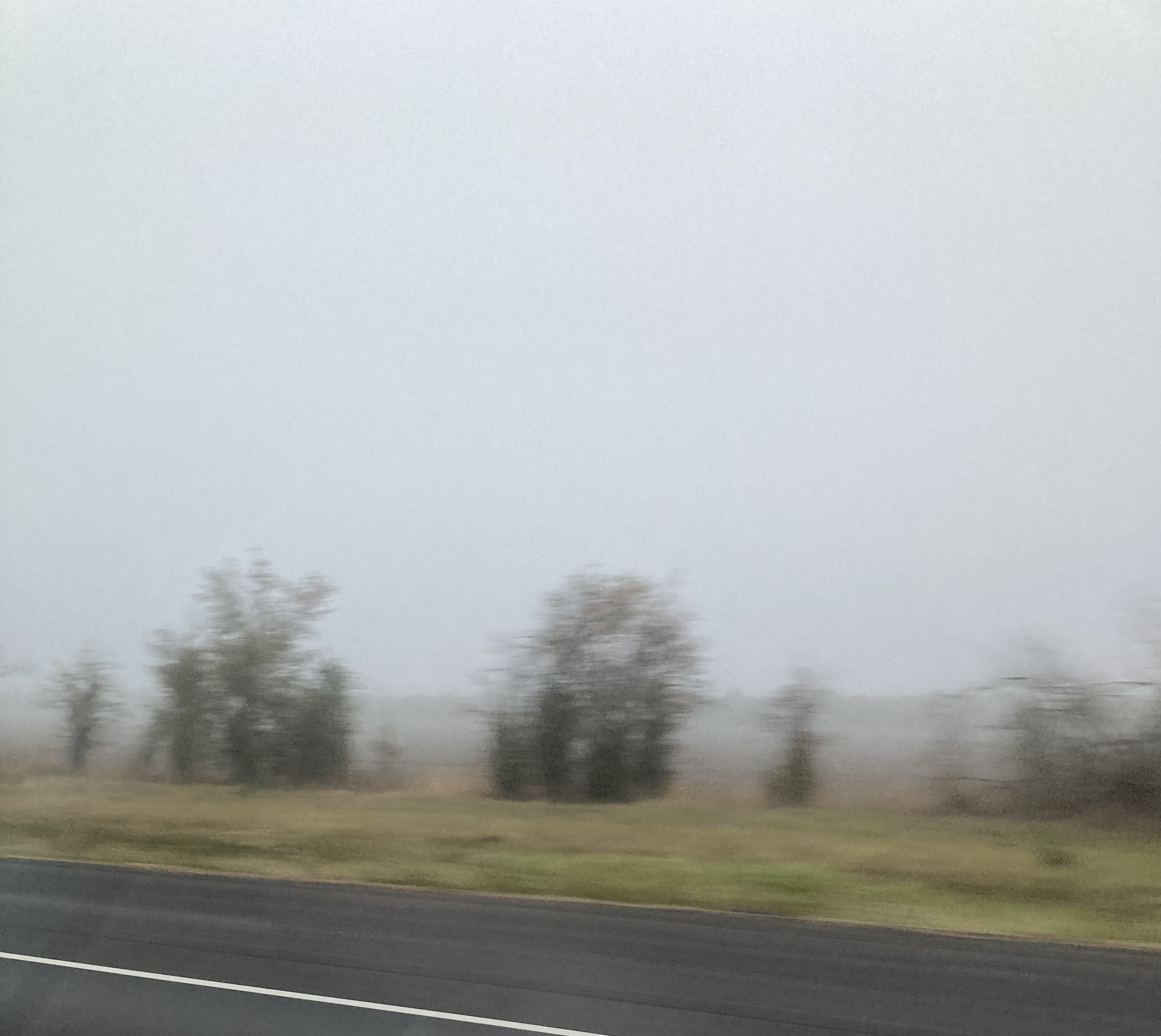 IMG_7751.jpeg