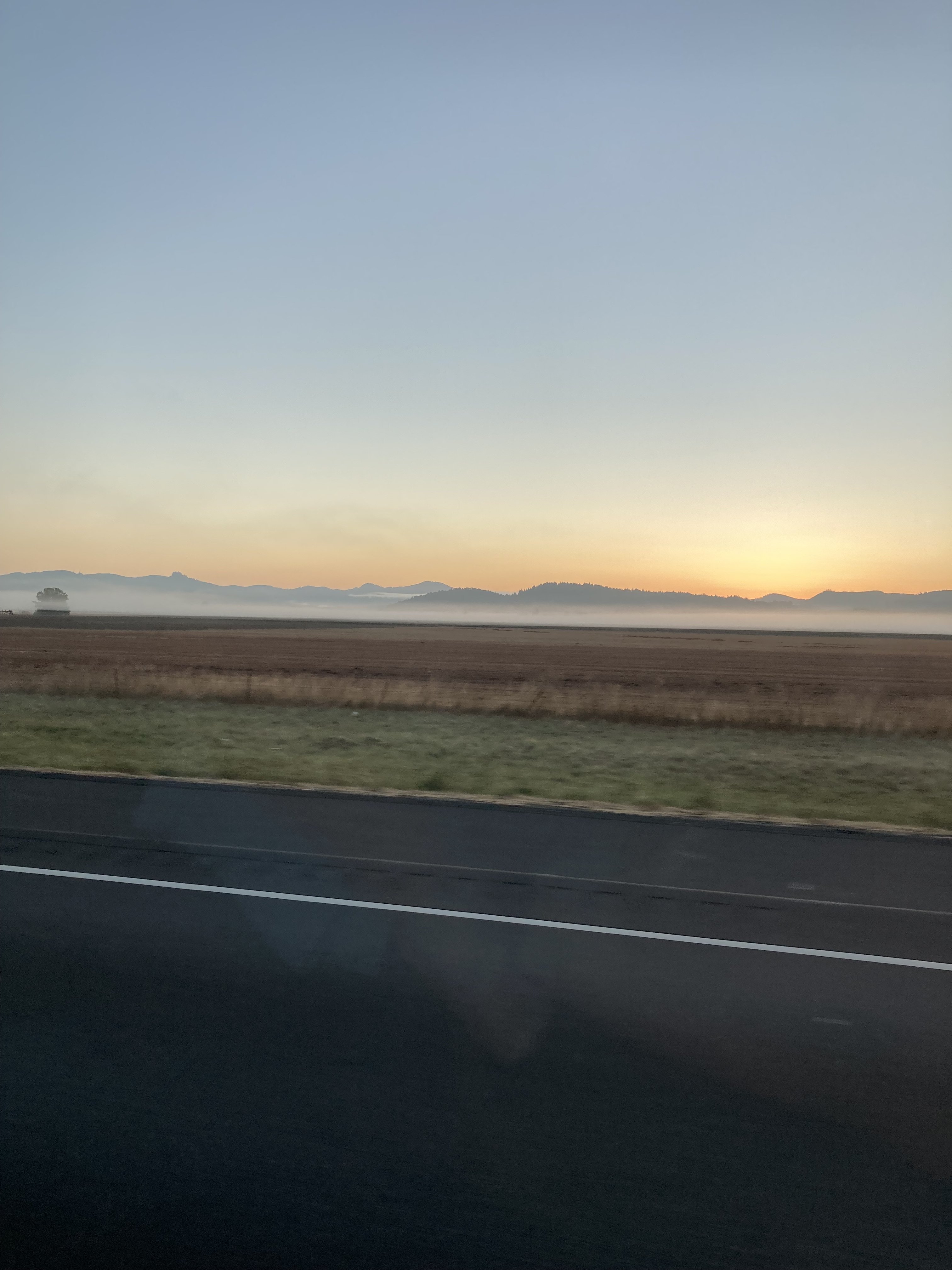 IMG_7753.jpeg