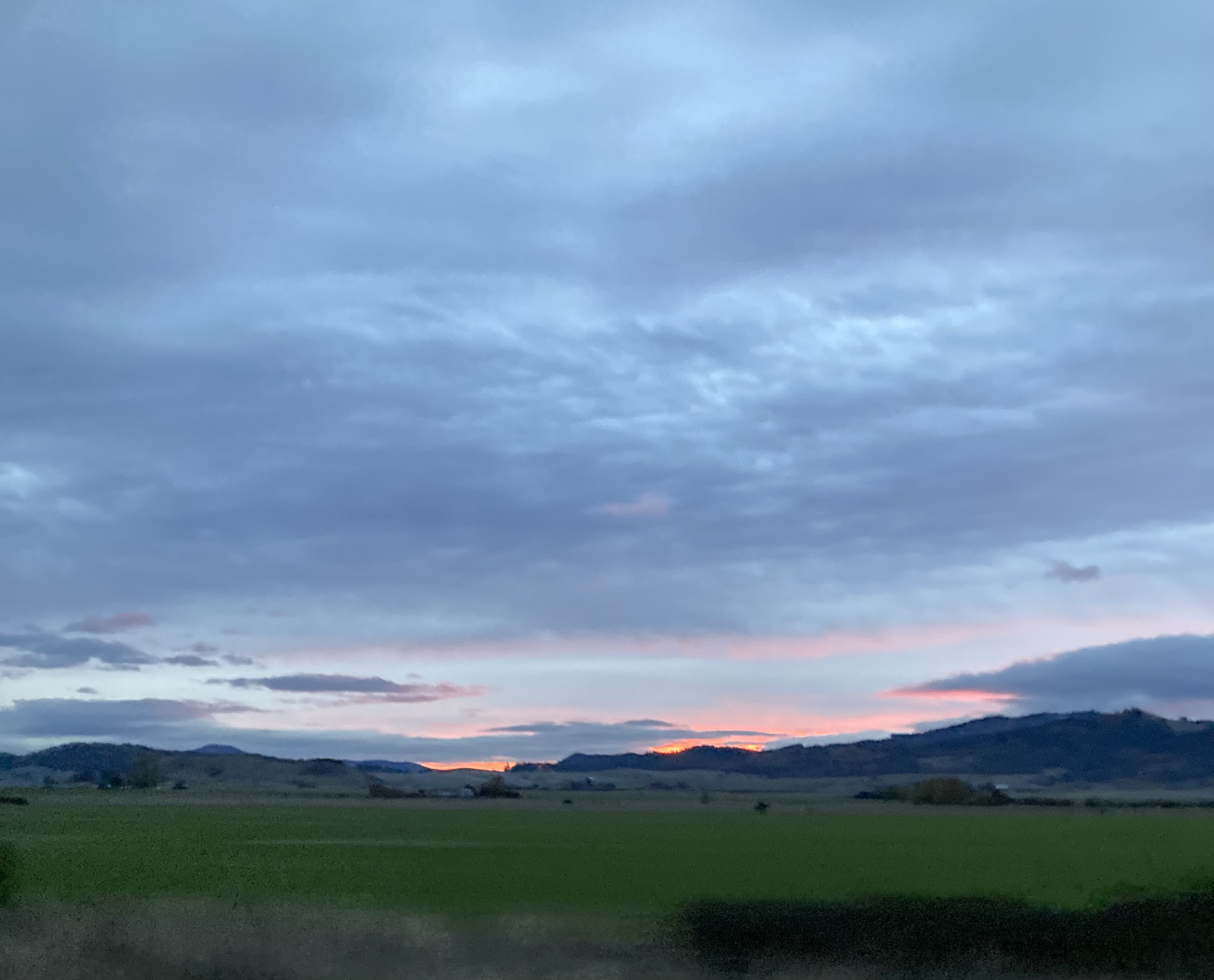IMG_7935.jpeg