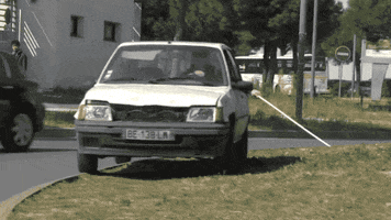 IMG_7986.gif