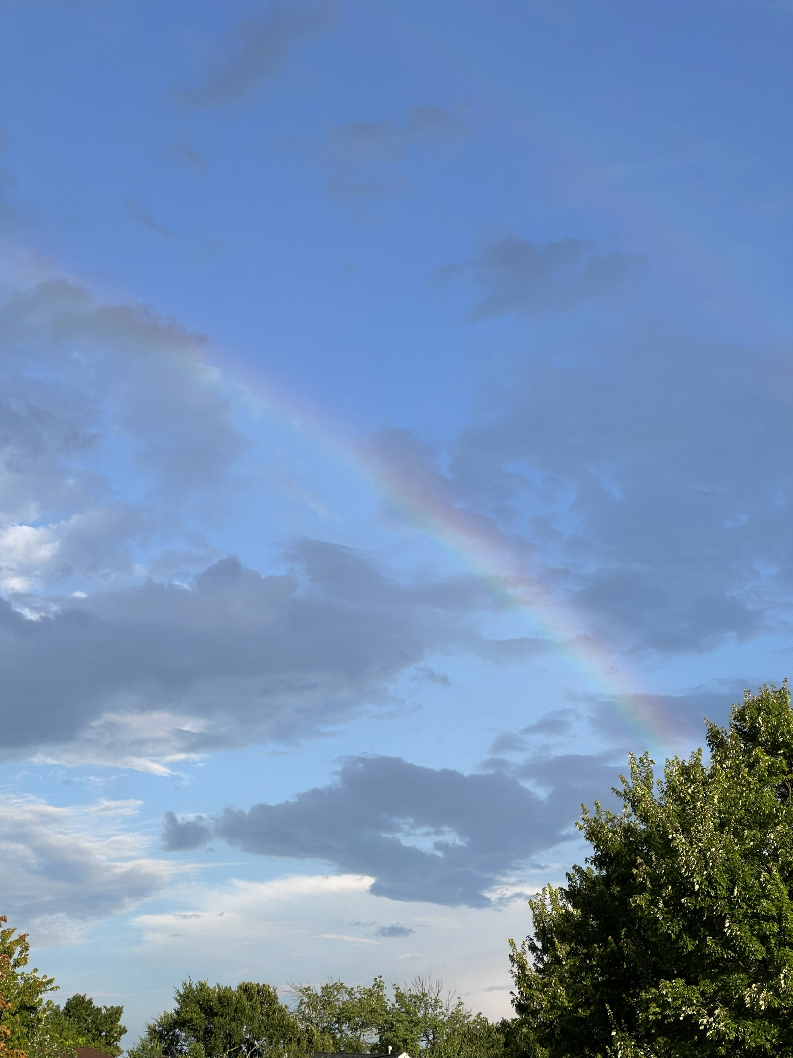 IMG_8075.jpeg