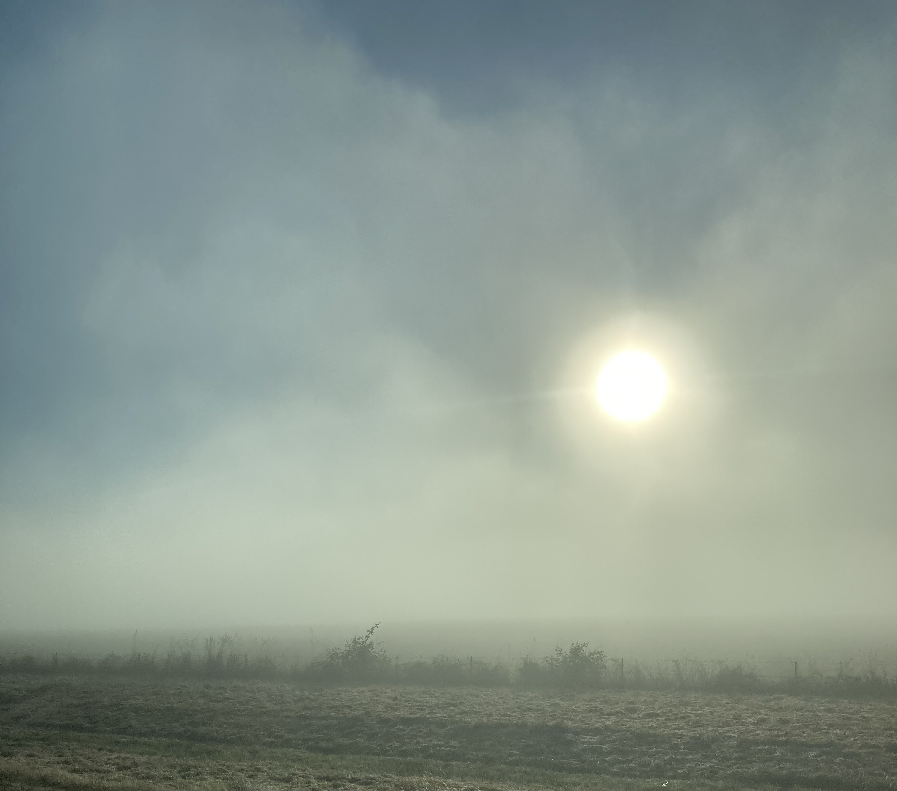 IMG_8665.jpeg
