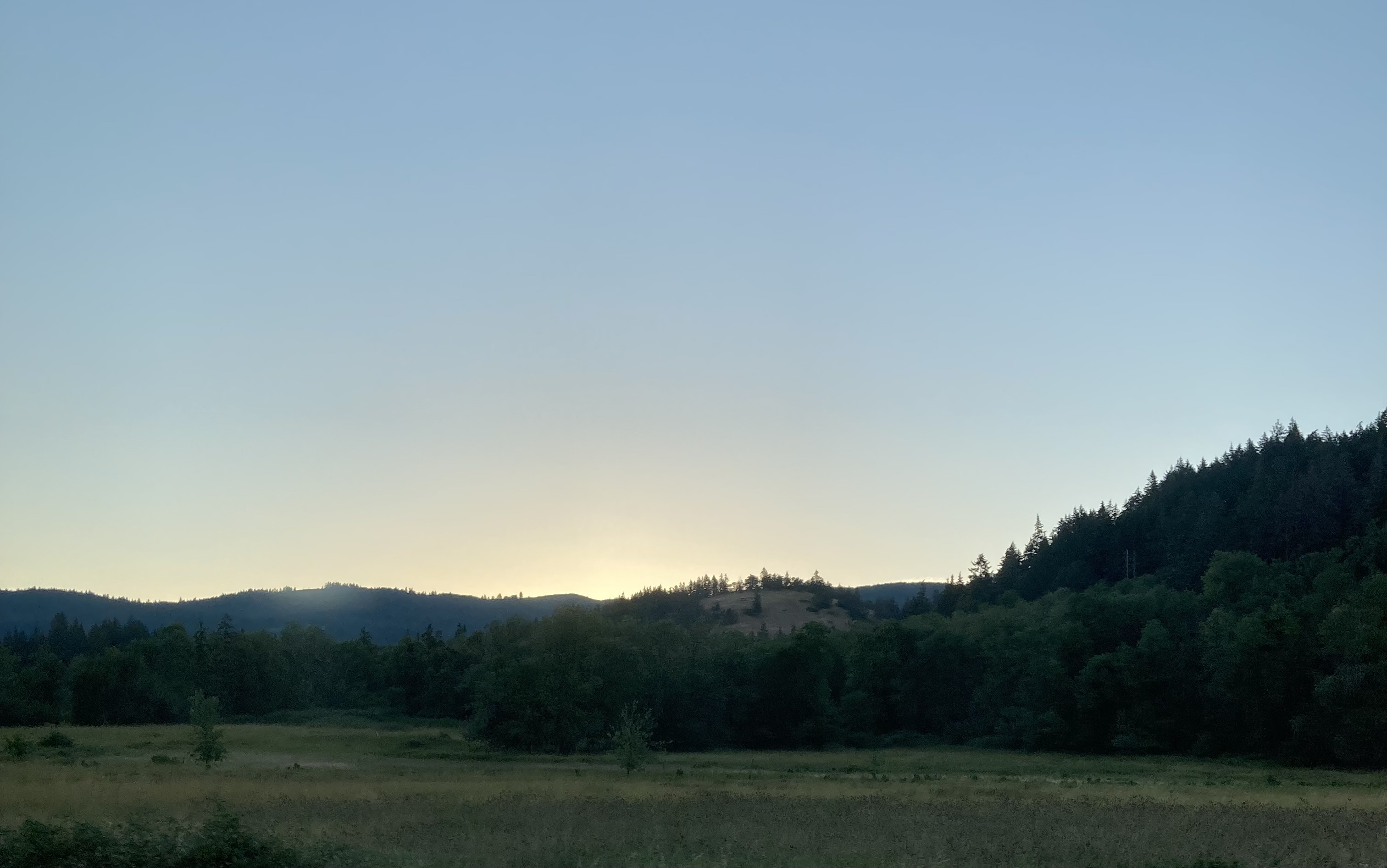 IMG_8669.jpeg