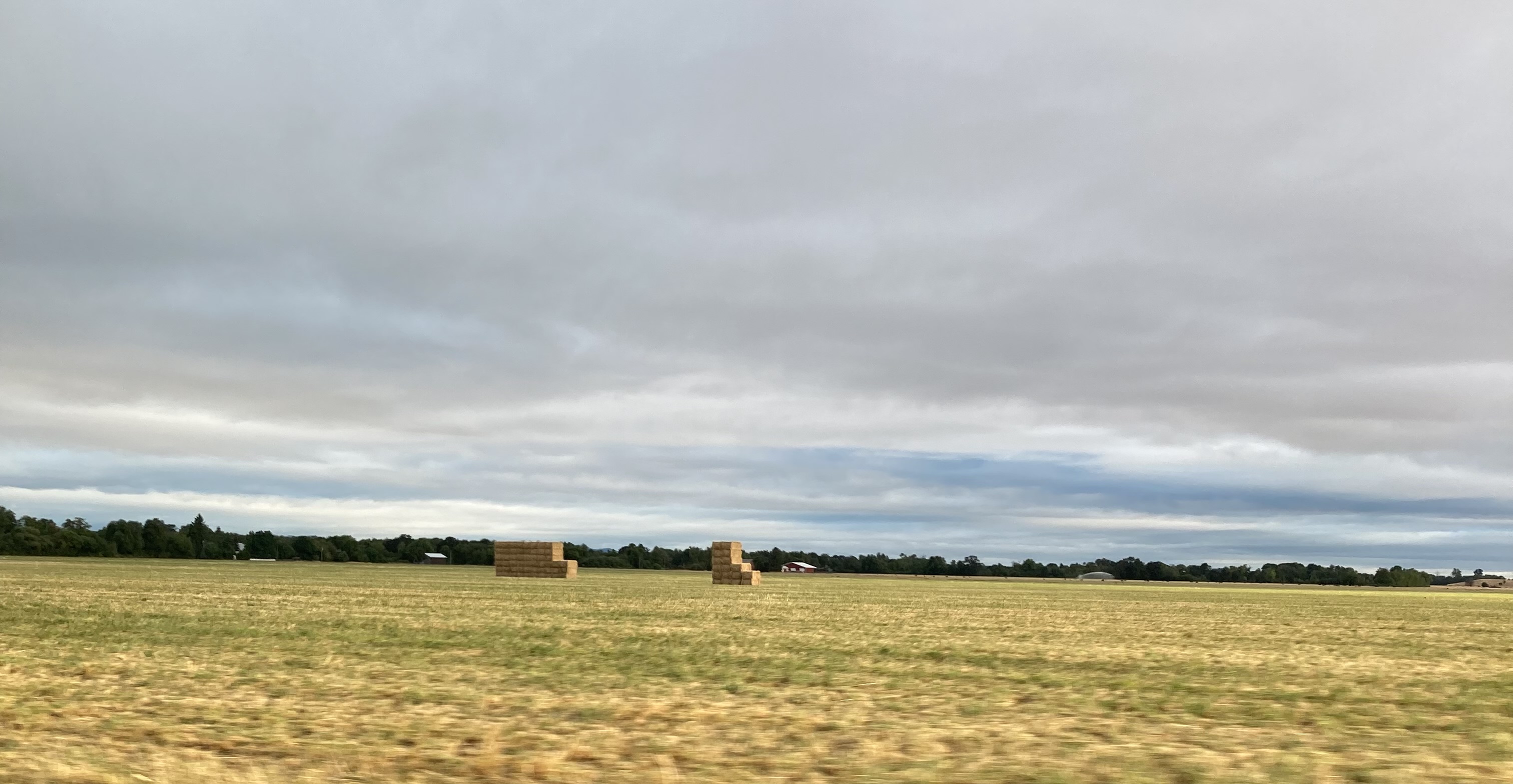 IMG_8706.jpeg