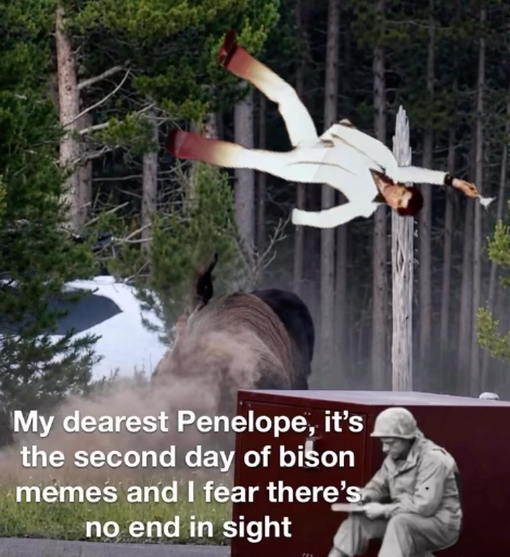 IMG_8767.png