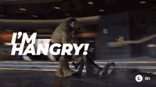 IMG_8838.gif