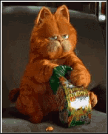 IMG_9444.gif