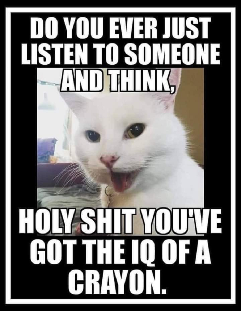 IQ Of A CRAYON.png