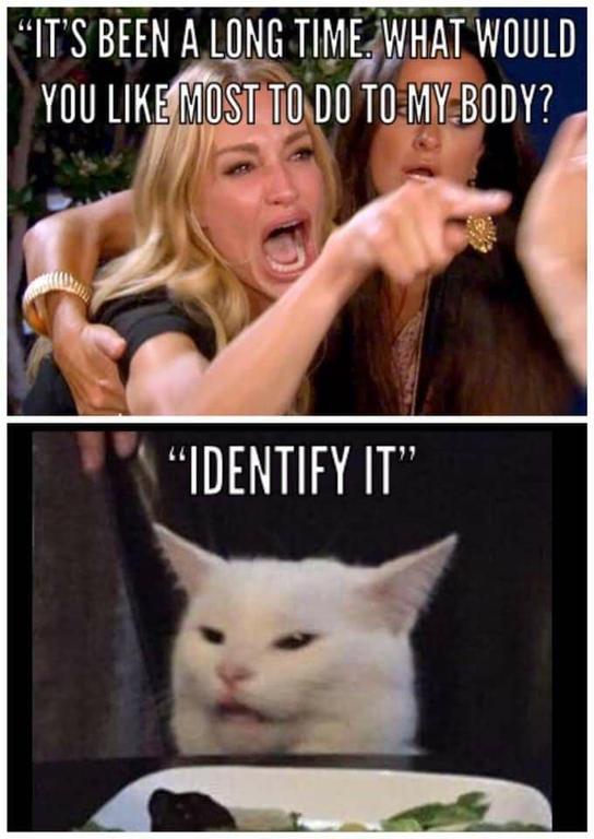 karen identify.jpgblue.jpg