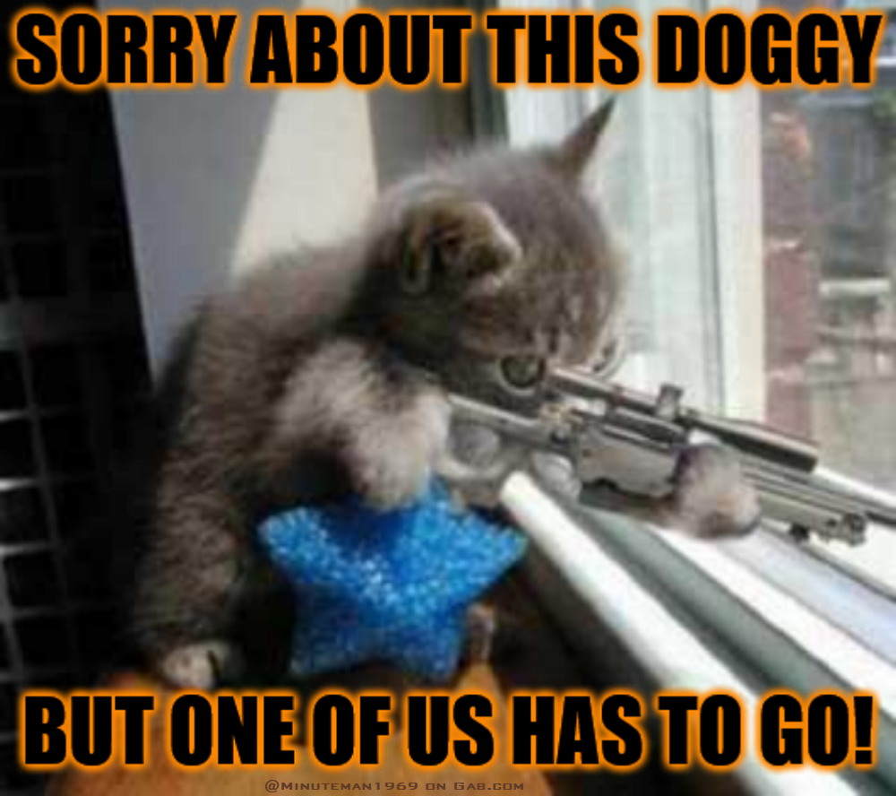 Kitteh Sniper Sorry Doggy 1000x888.png