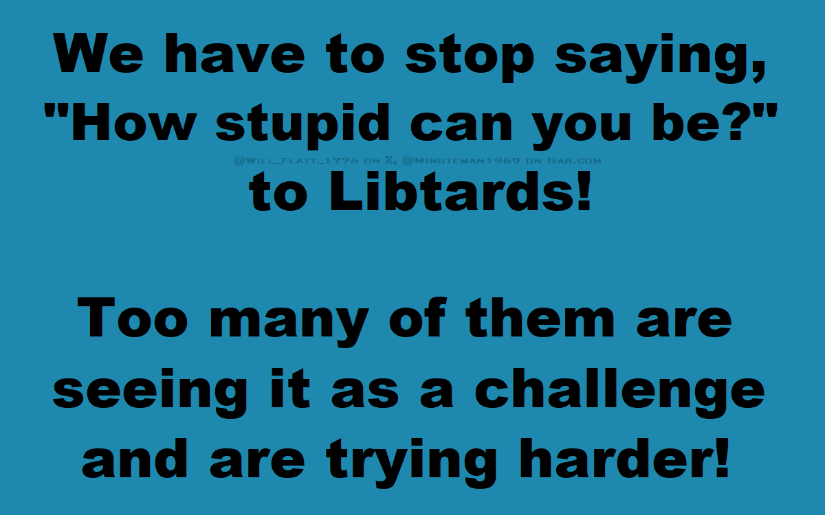 Libtards Challenge - How Stupid Can You Be.png