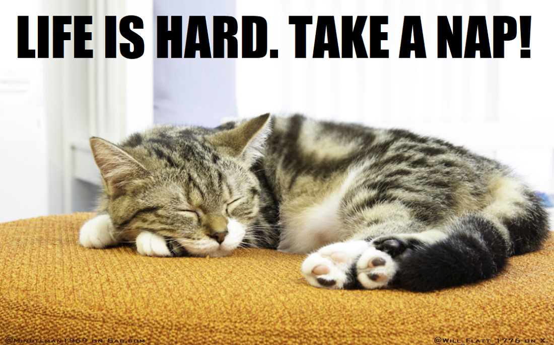 Life is Hard - Take a Nap.png