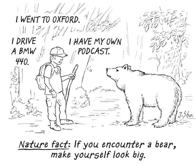 look-big.jpgblue.jpg