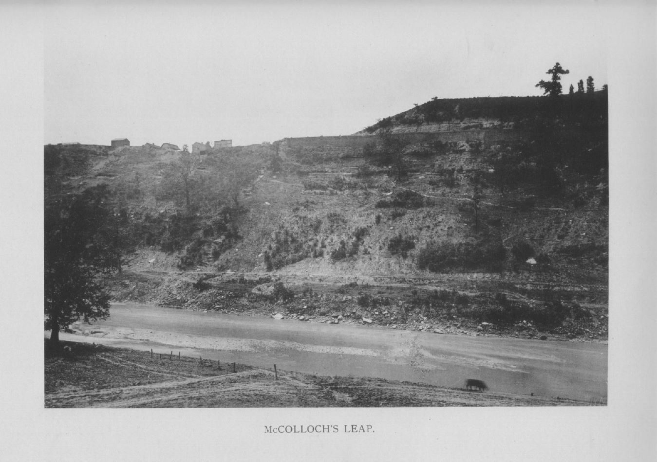 mccollochs-leap-1890.jpg
