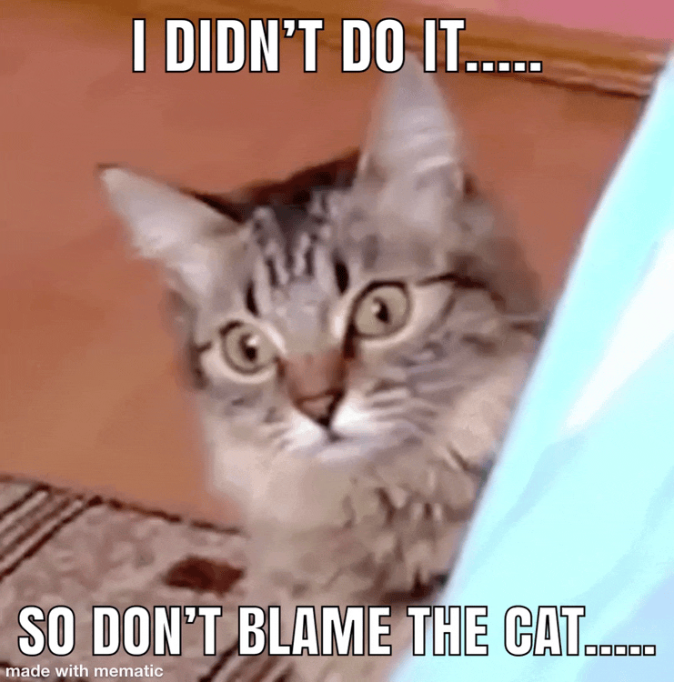 mematicMeme.gif