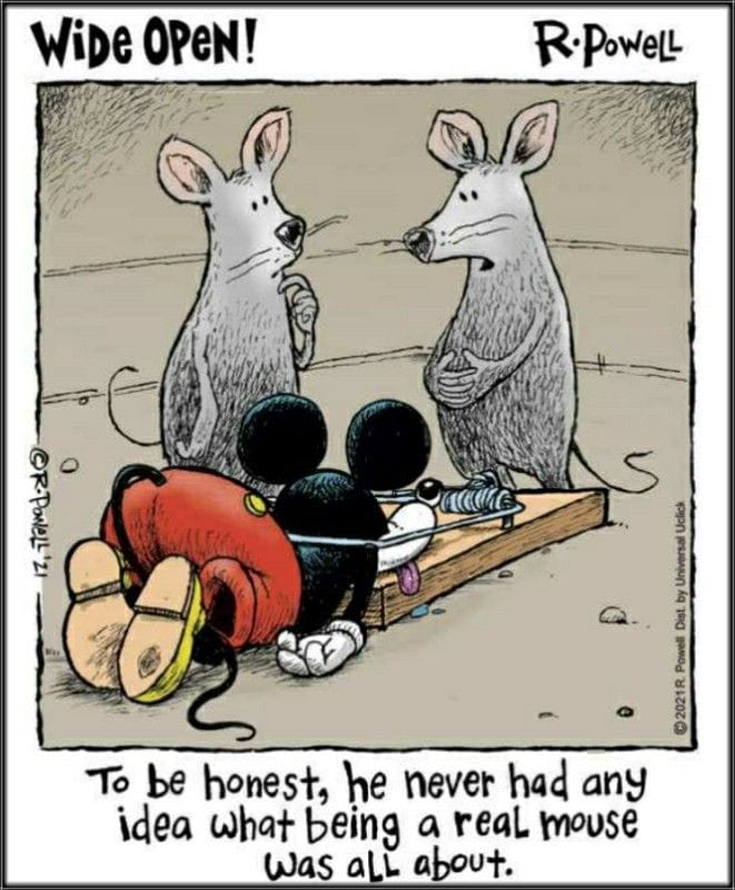 mickeydown.png