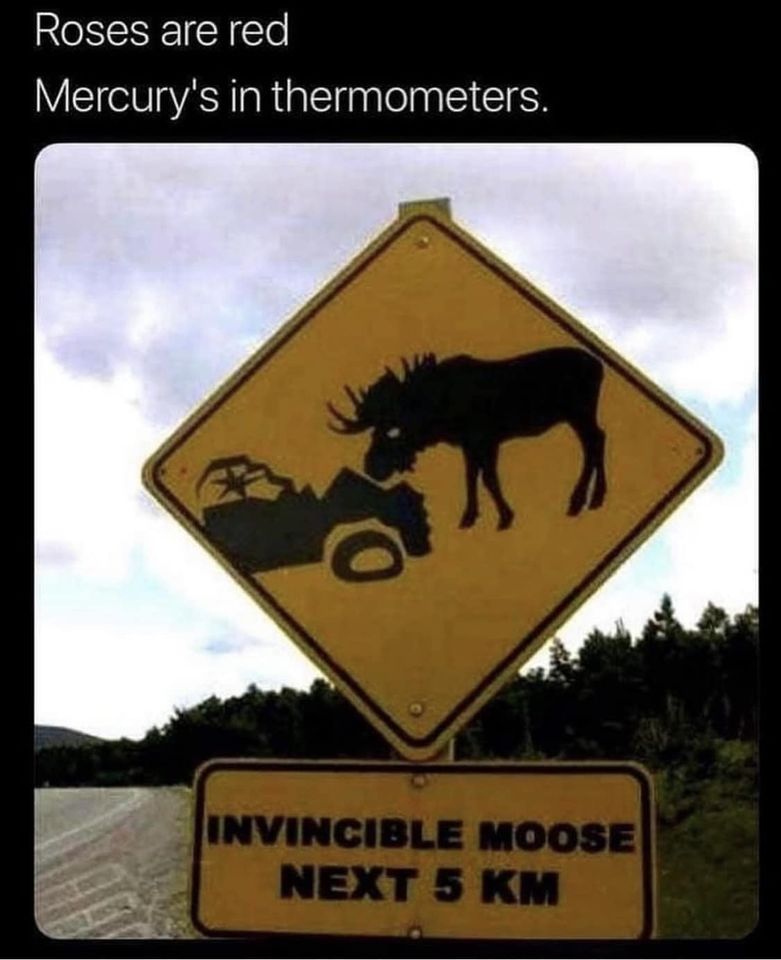 moose.jpg