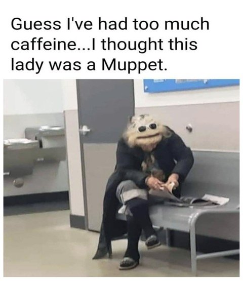 muppet.jpg