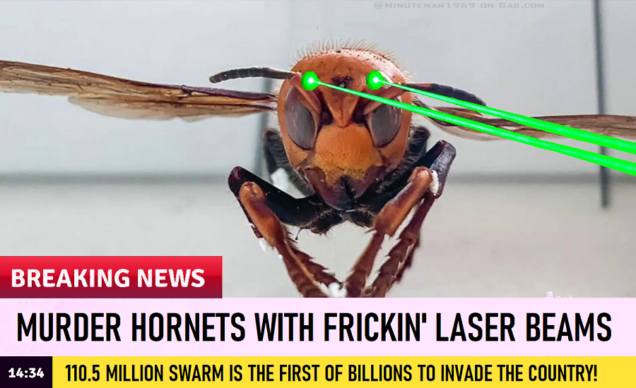 Murder Hornets with Frickin Laser Beams.png