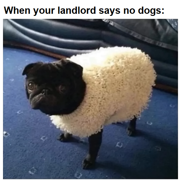 No Dogs Landlord.png