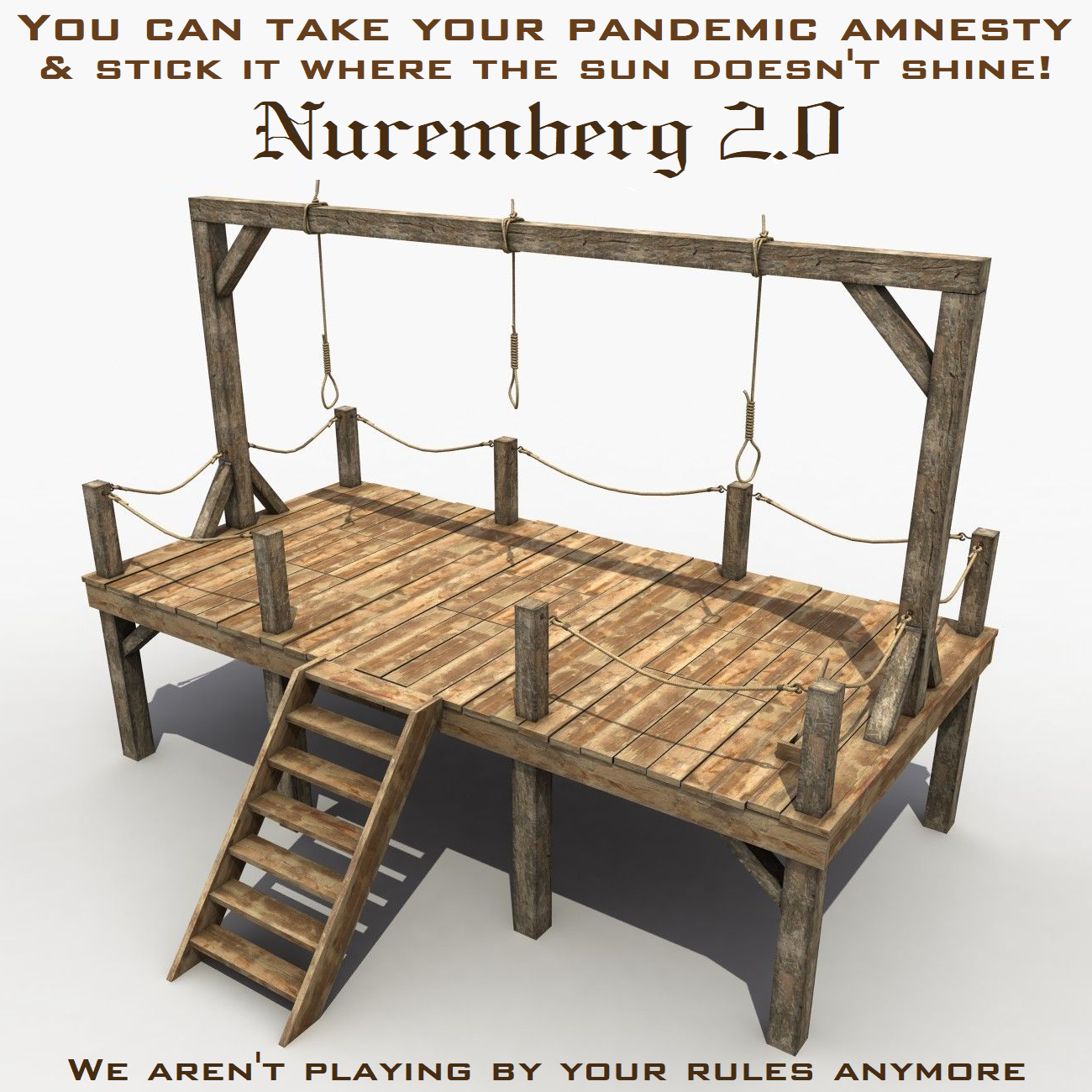 NO PANDEMIC AMNESTY - Nuremberg 2.0.png