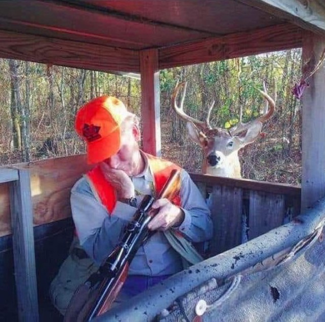 NRA fudd asleep.png