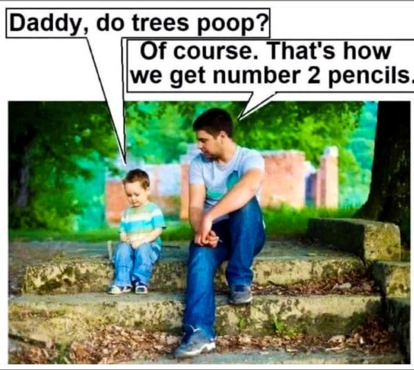 number2trees.jpg