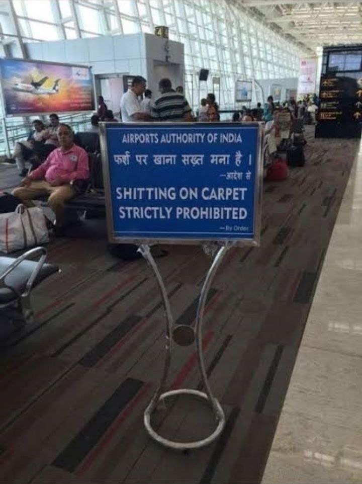**** on carpet.jpg