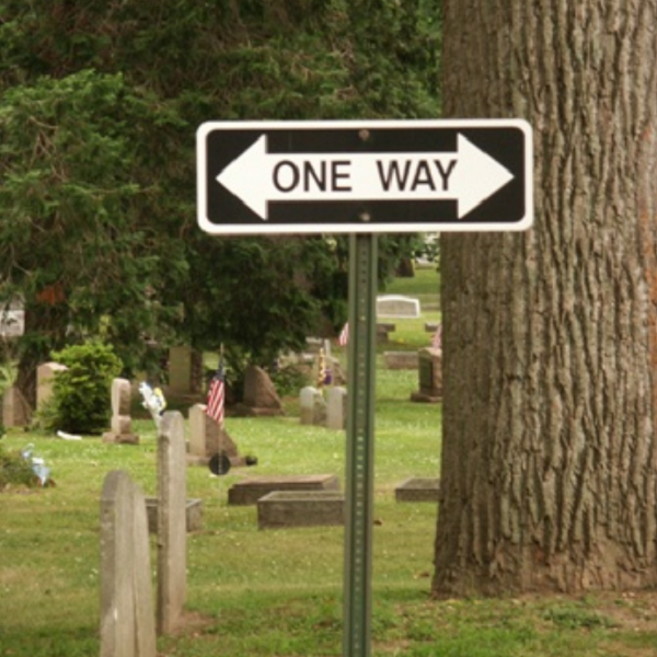 One Way Both Ways.png