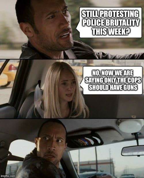 Only cops should have guns.jpg