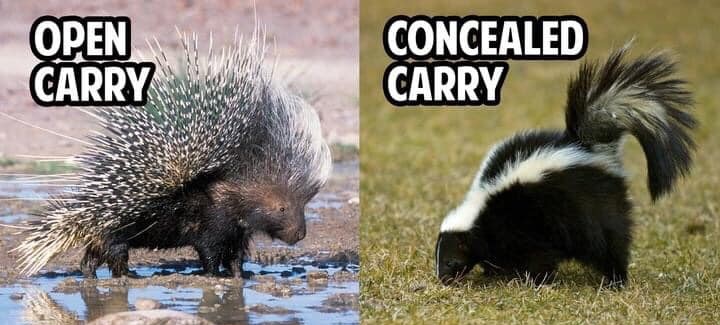 Open Carry vs Concealed Carry.jpg