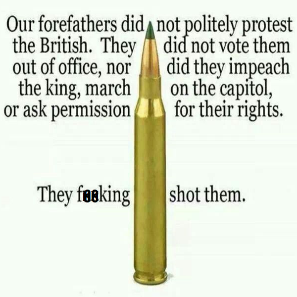 Our Forefathers did not protest the British - they effing shot them.png