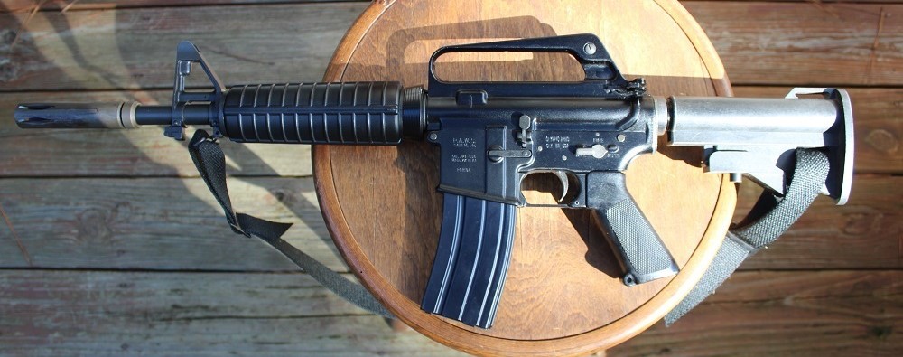 PAWS XM177.JPG