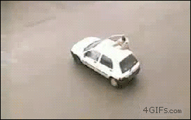 Police-dogK9-jumps-car.gif