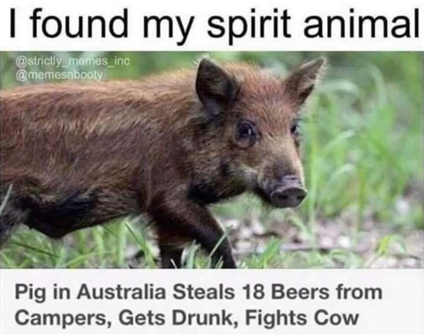 PqmbVmsQ5e8g0r0c.jpeg