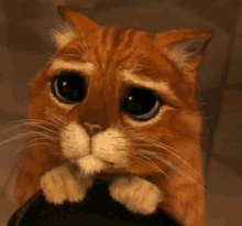 puss-in-boots-shrek-2639493448.gif