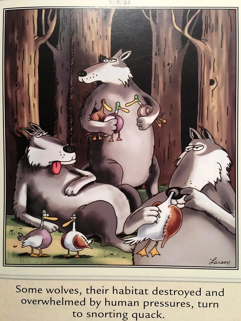 quacksnort.jpg