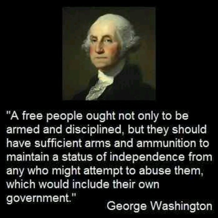 quote-on-guns-george-washington-1-picture-quote-1.jpg