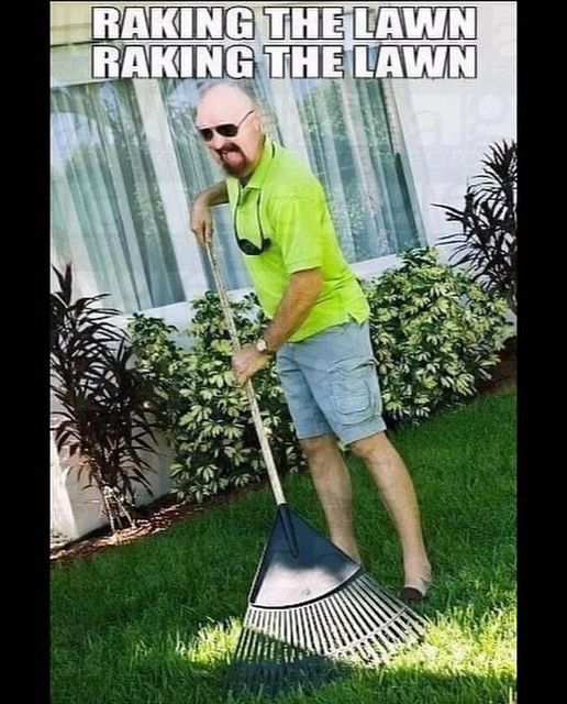raking the lawn.jpg